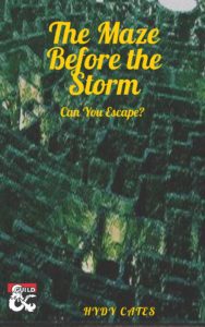 The Maze Before the Storm: Can You Escape? by Hydy Cates cover